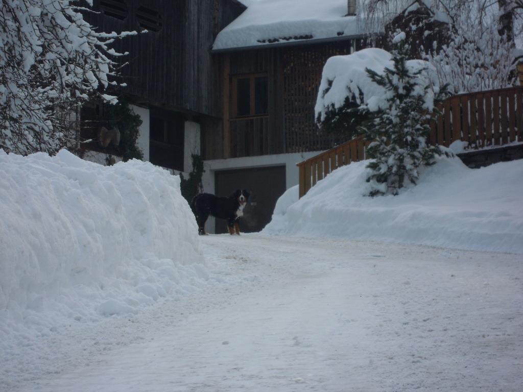 Apartment Krobath Murau Exterior photo